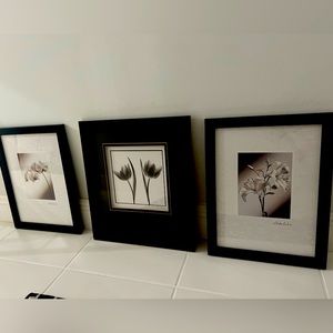 3 Frames. Flower designs. Brand new condition